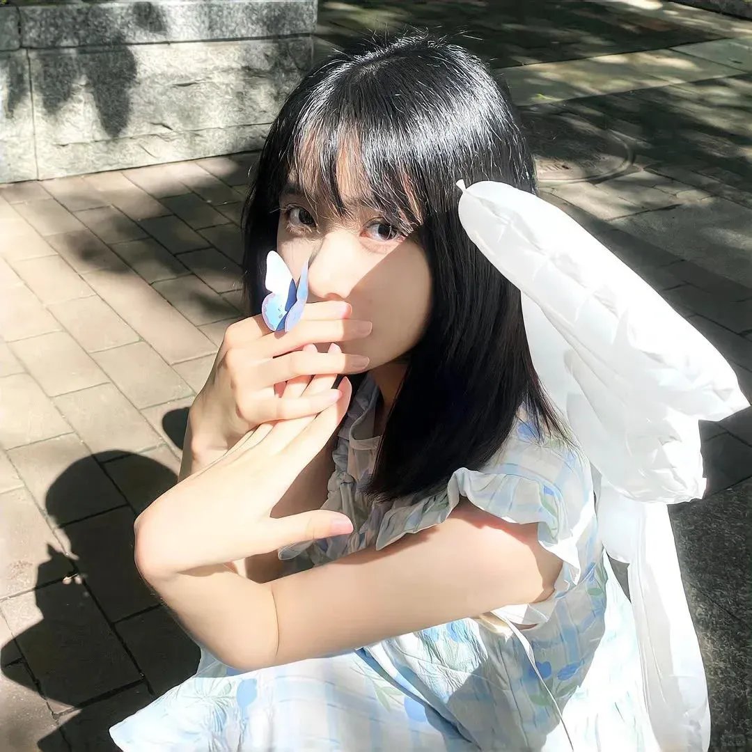树袋熊