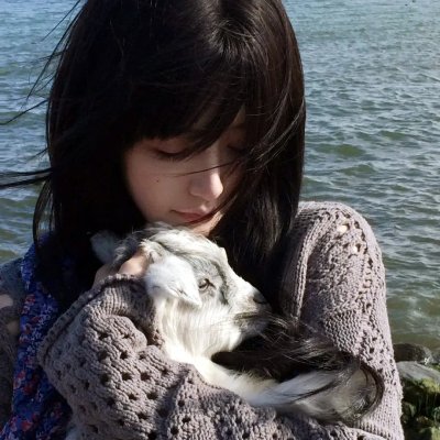 碧姬达蕙花