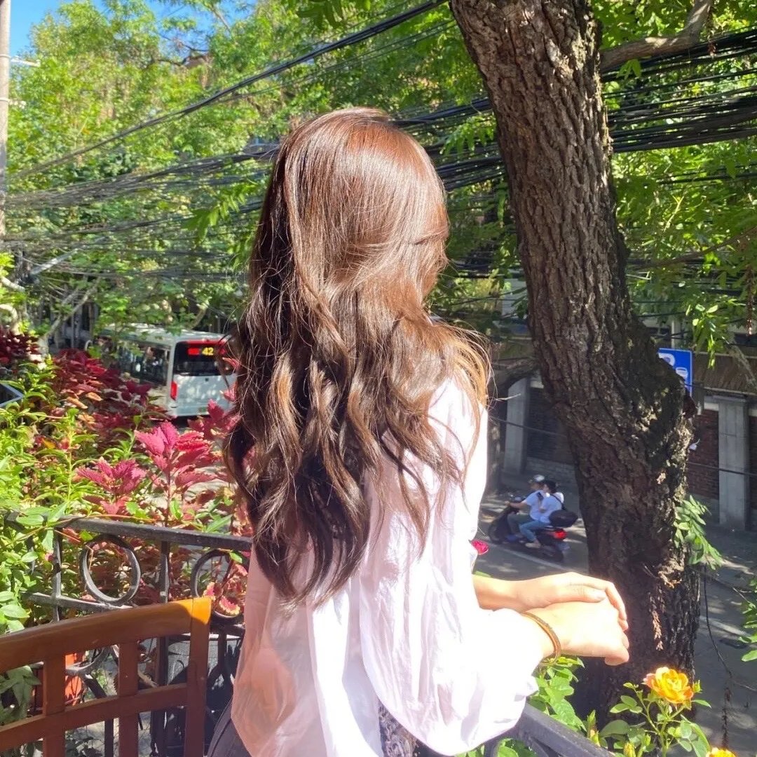 鲨鱼：风暴